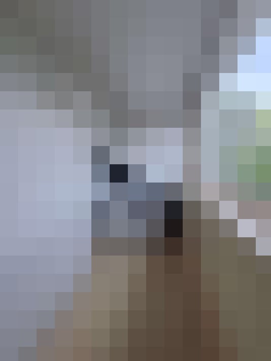 Image 15