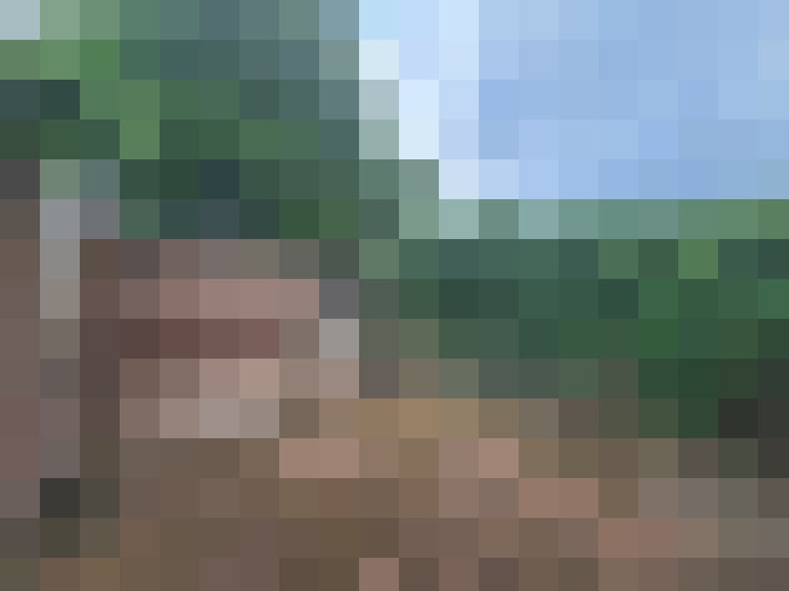 Image 17