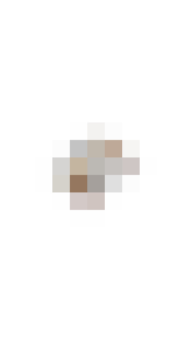 Image 51