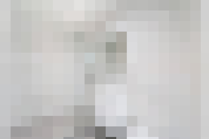 Image 46