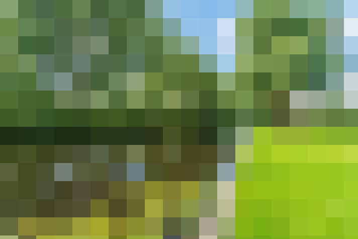 Image 65
