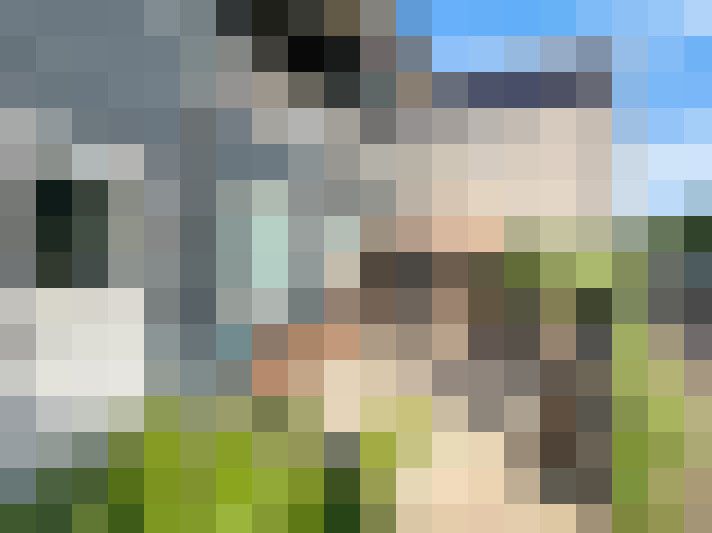 Image 15