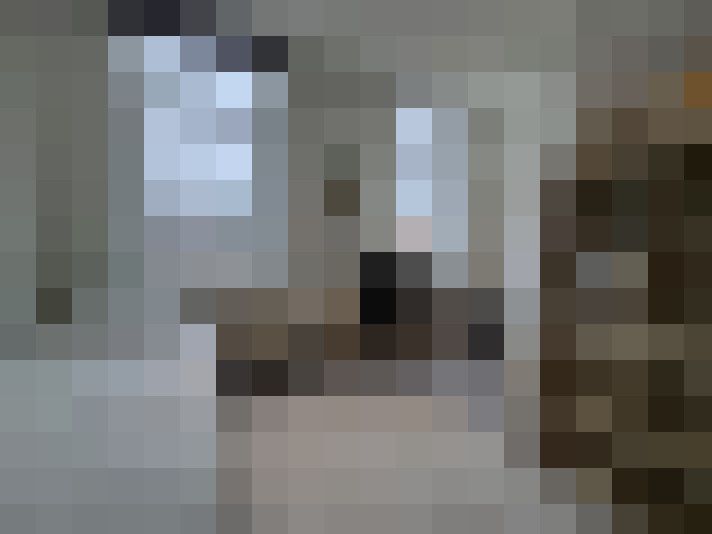  / #15