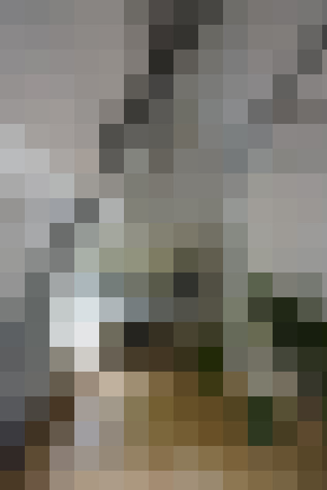 Image 22