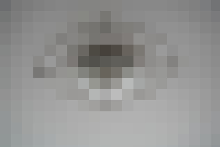 Image 48
