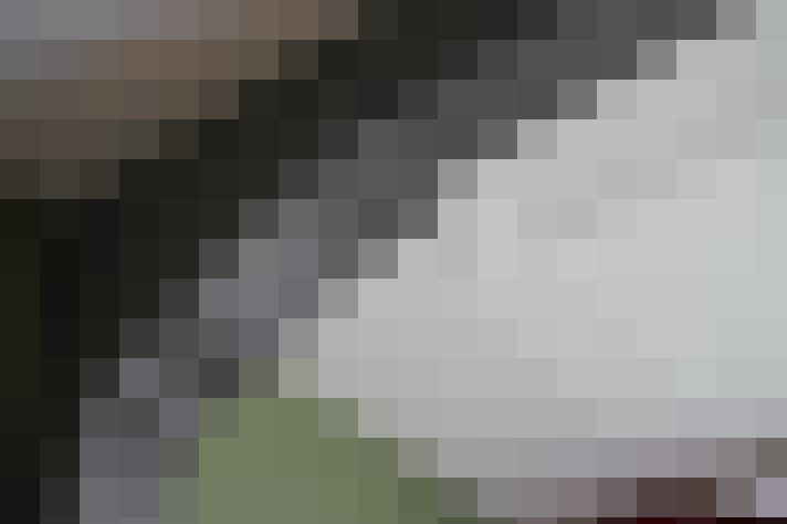 Image 25