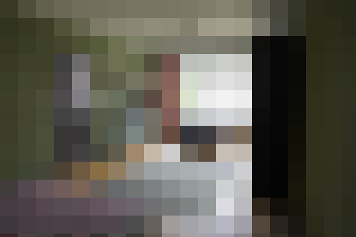 Image 44