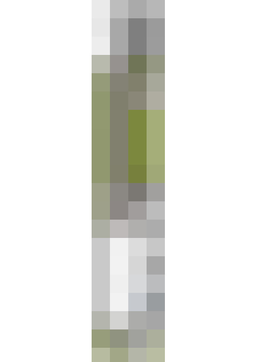 Image 24