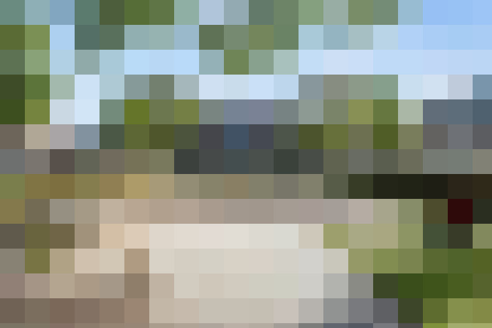 Image 21