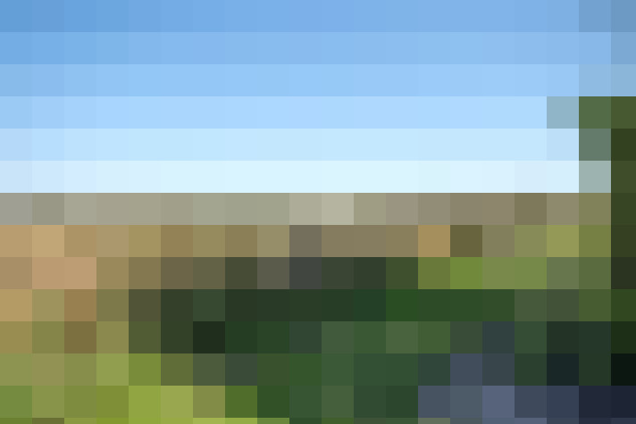 Image 55