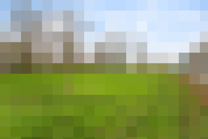 Image 28