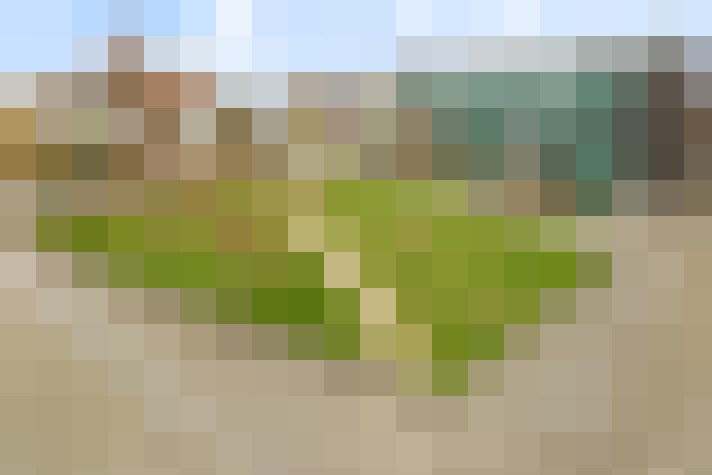 Image 24