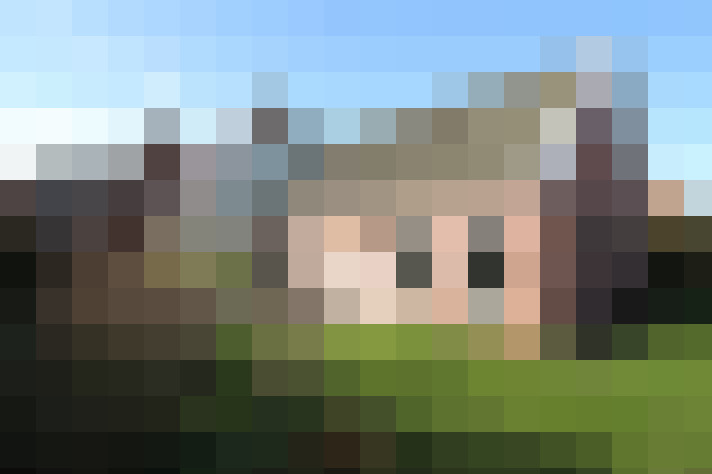Image 21