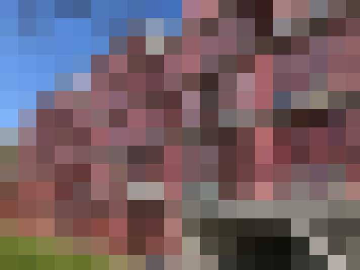 Image 28