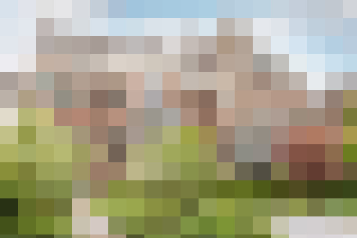 Image 36