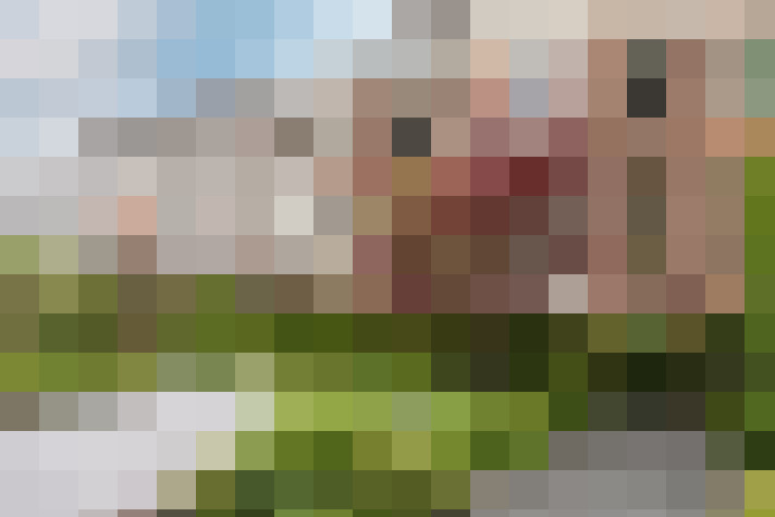 Image 39
