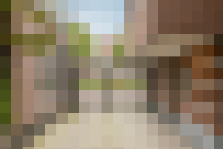 Image 47