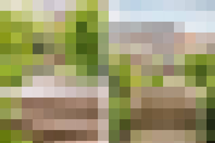 Image 37