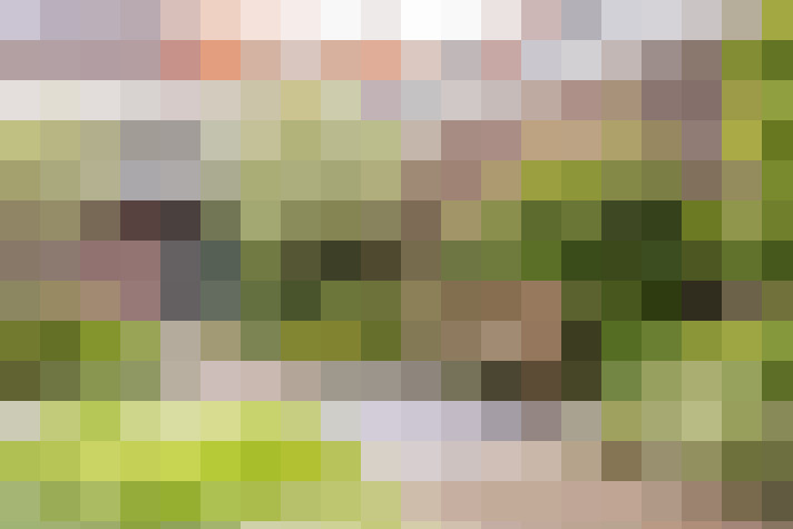 Image 38