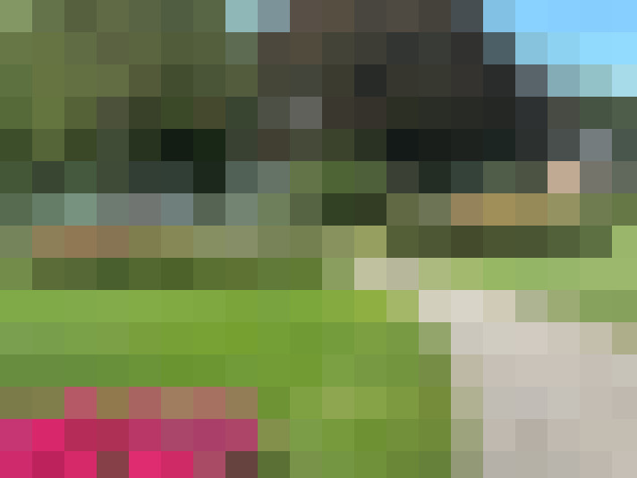 Image 29