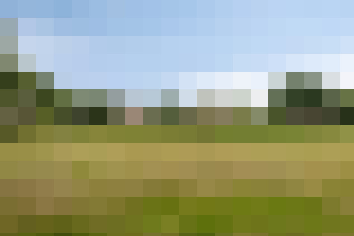 Image 28