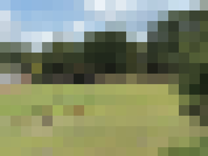 Image 27