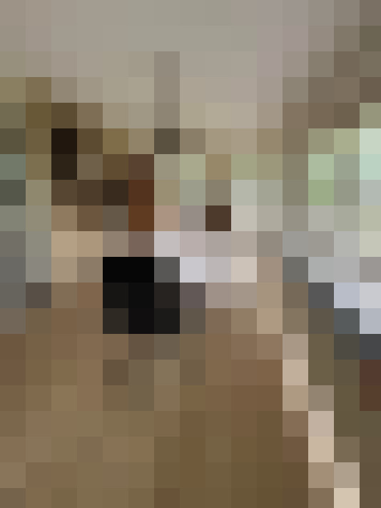 Image 38