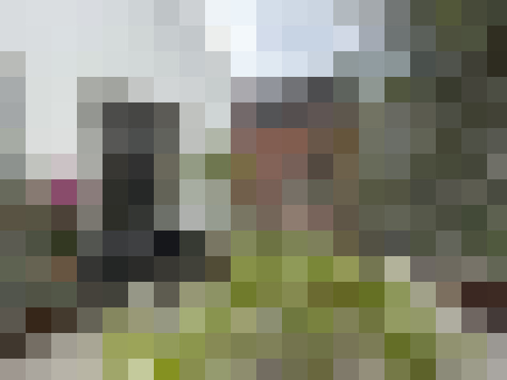 Image 23