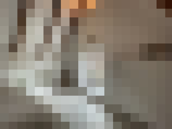 Image 14