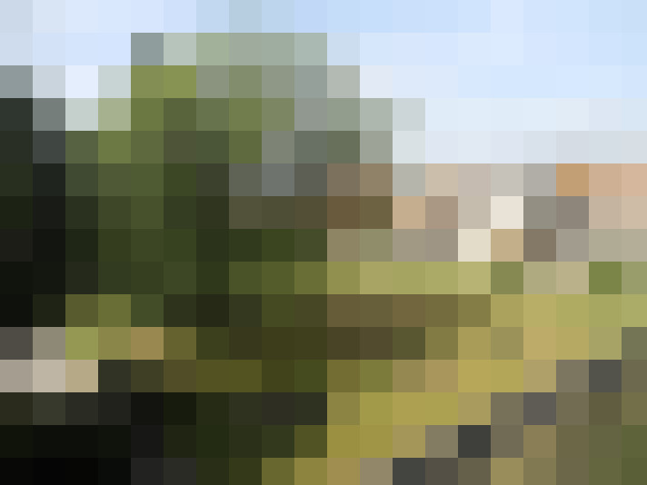 Image 22