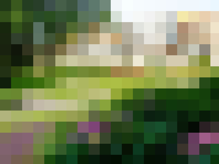 Image 23