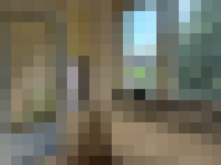Image 22