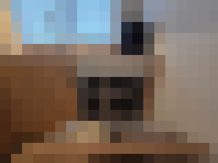  / #10