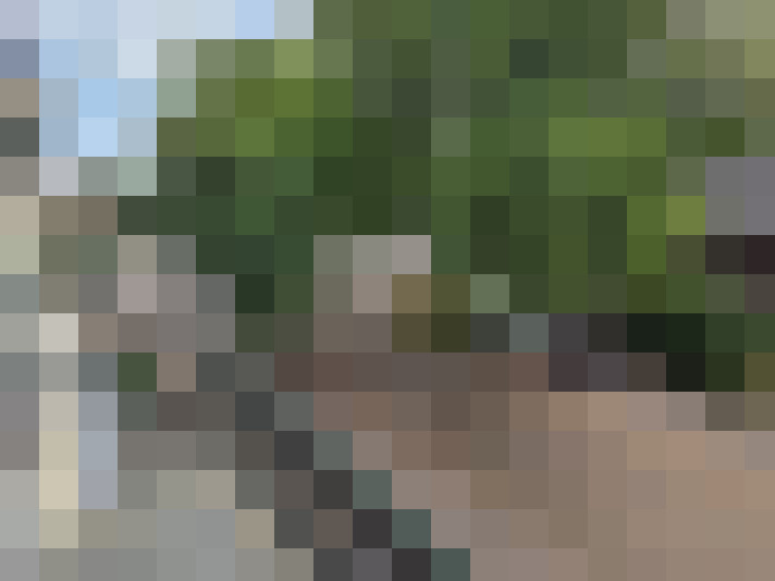 Image 14