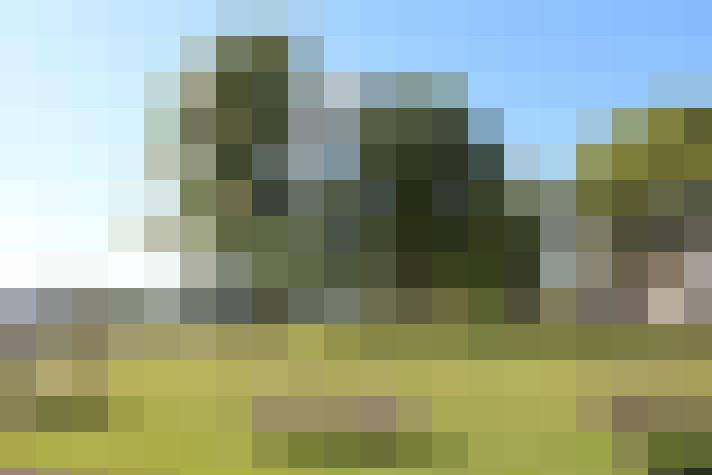 Image 23