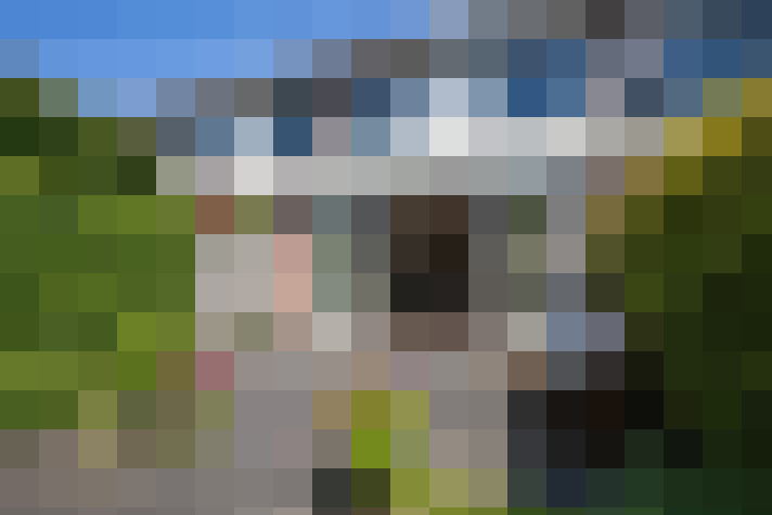 Image 30