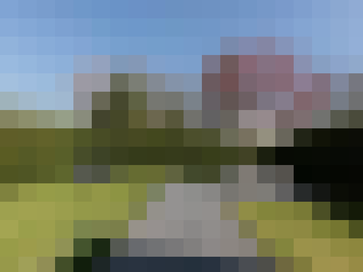 Image 17