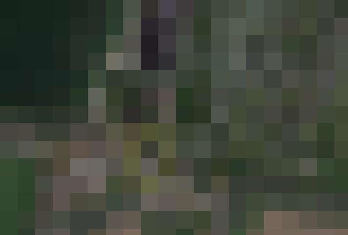 Image 20