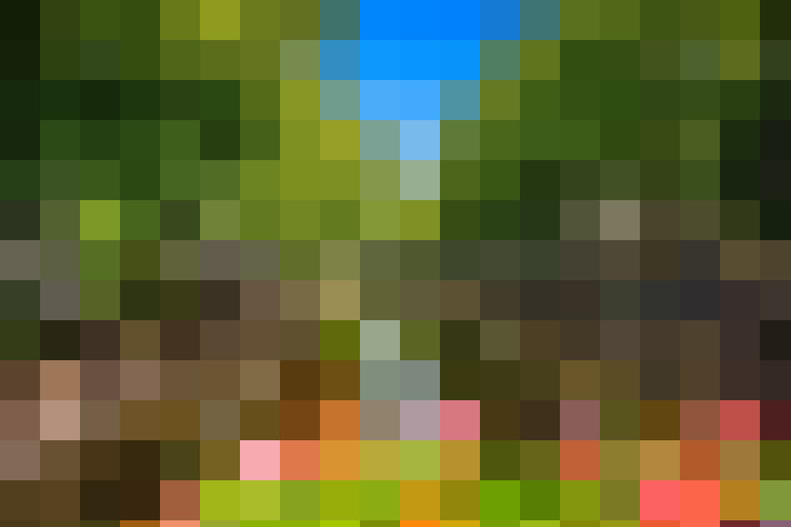 Image 33