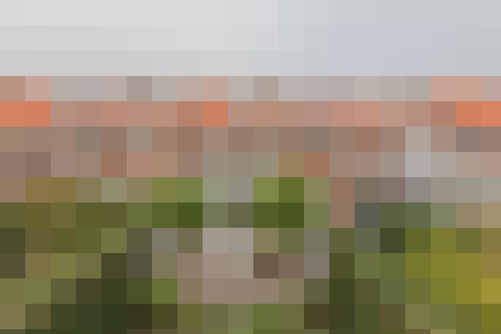 Image 29