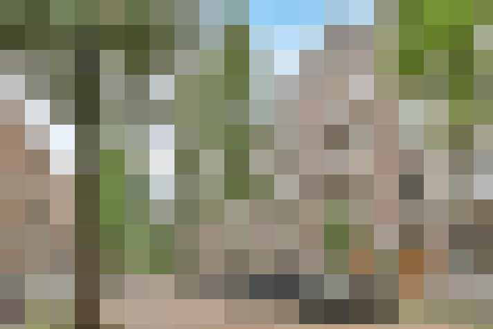 Image 47