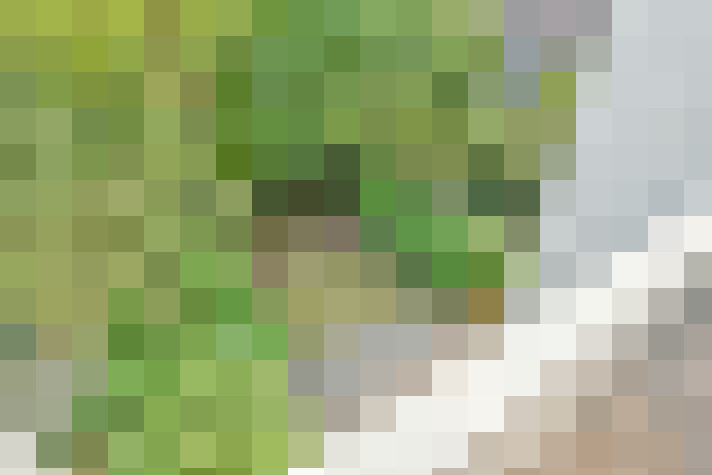 Image 45