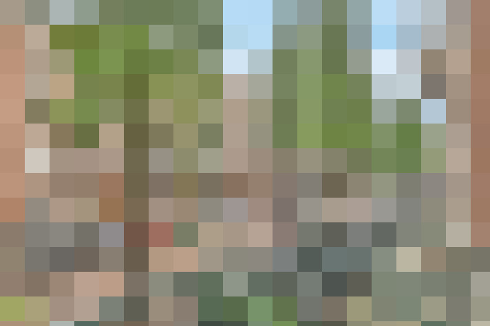 Image 31