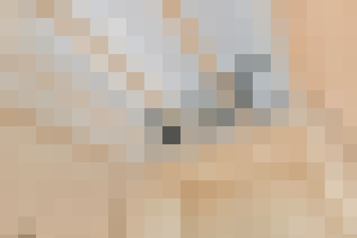 Image 39
