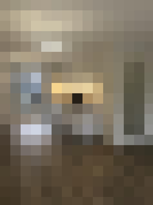 Image 13