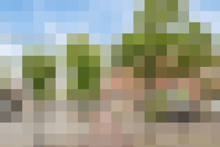Image 22