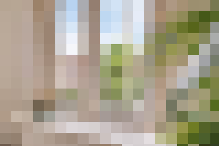 Image 17