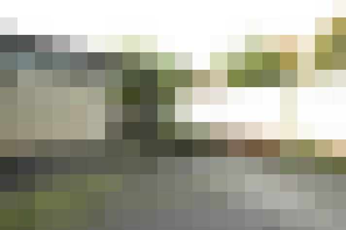 Image 20