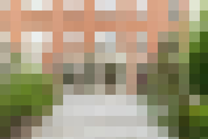 Image 31
