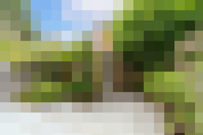 Image 37